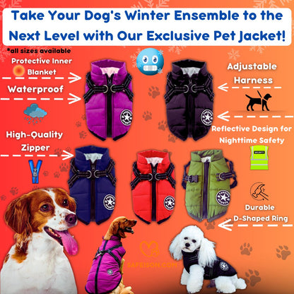 🚀Last Call: 50% Savings + Free Shipping🔥on FashionSports™ Paddle Jacket🐶 - safeison.com