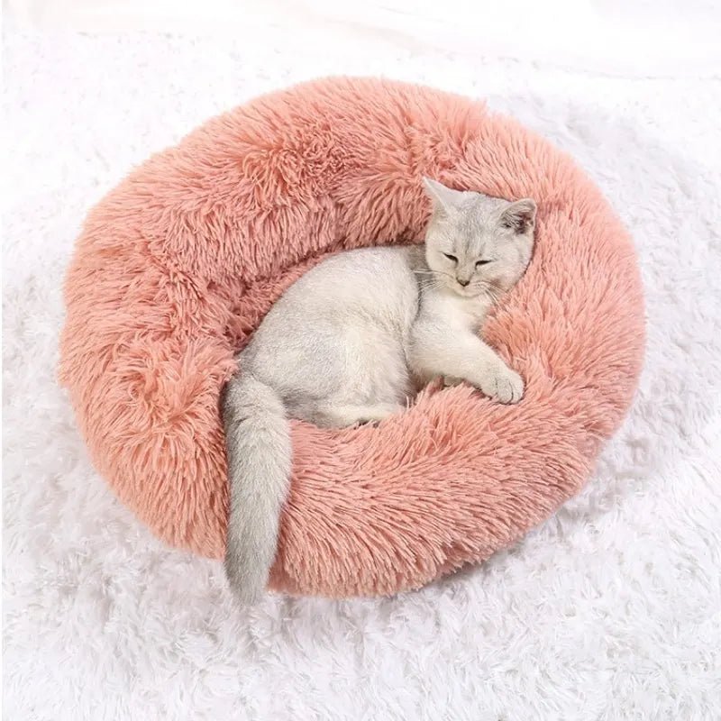 Comfort Cloud® | Round Pet Bed + Free Gift 🎁 - safeison.com