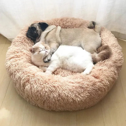 Comfort Cloud® | Round Pet Bed + Free Gift 🎁 - safeison.com