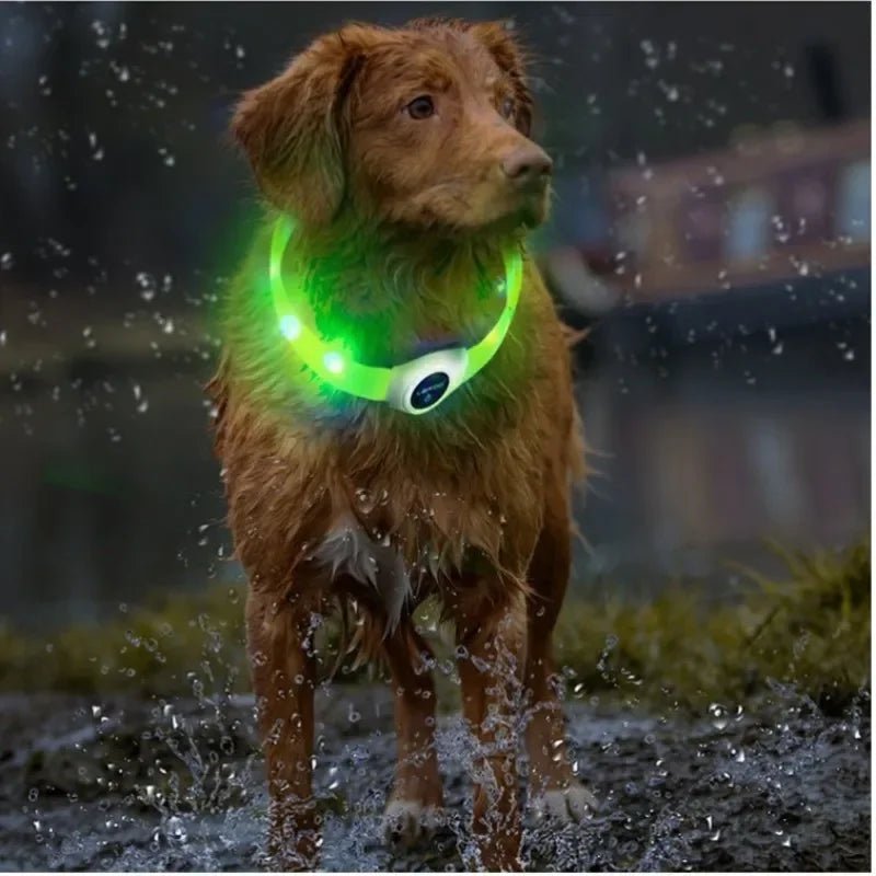 New SafeBuddy® | LED Water - Resistant Collar - safeison.com