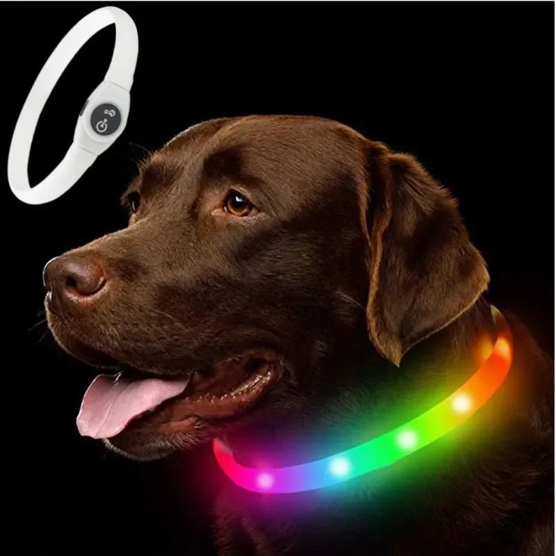 New SafeBuddy® | LED Water - Resistant Collar - safeison.com