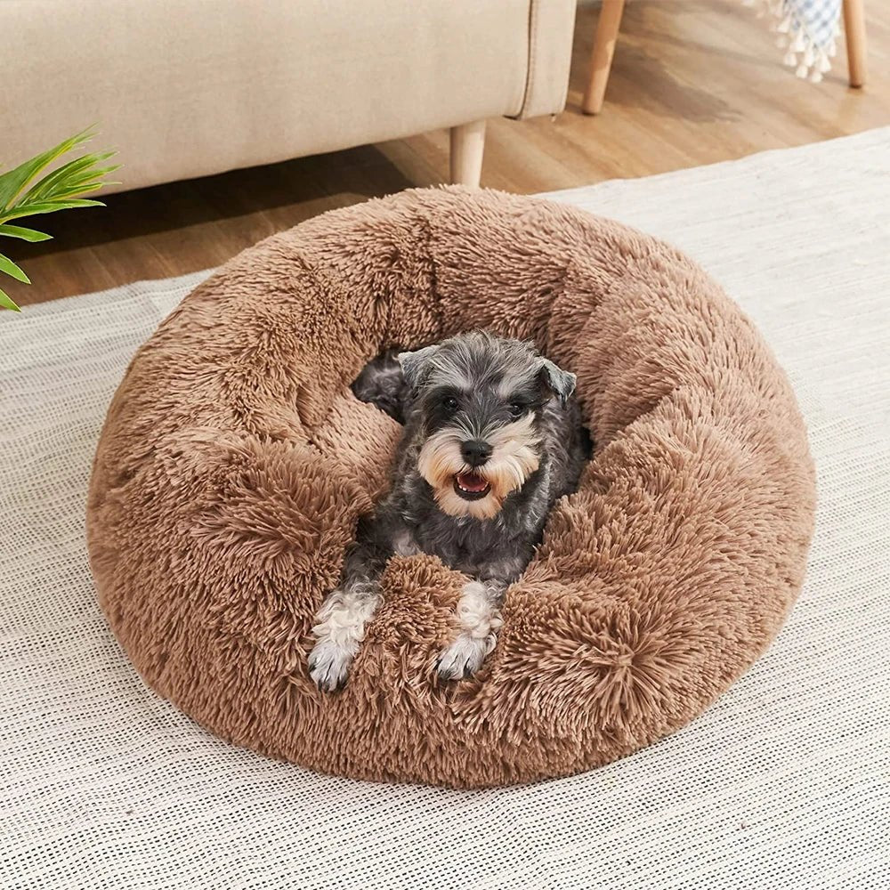 Comfort Cloud® | Round Pet Bed + Free Gift 🎁 - safeison.com