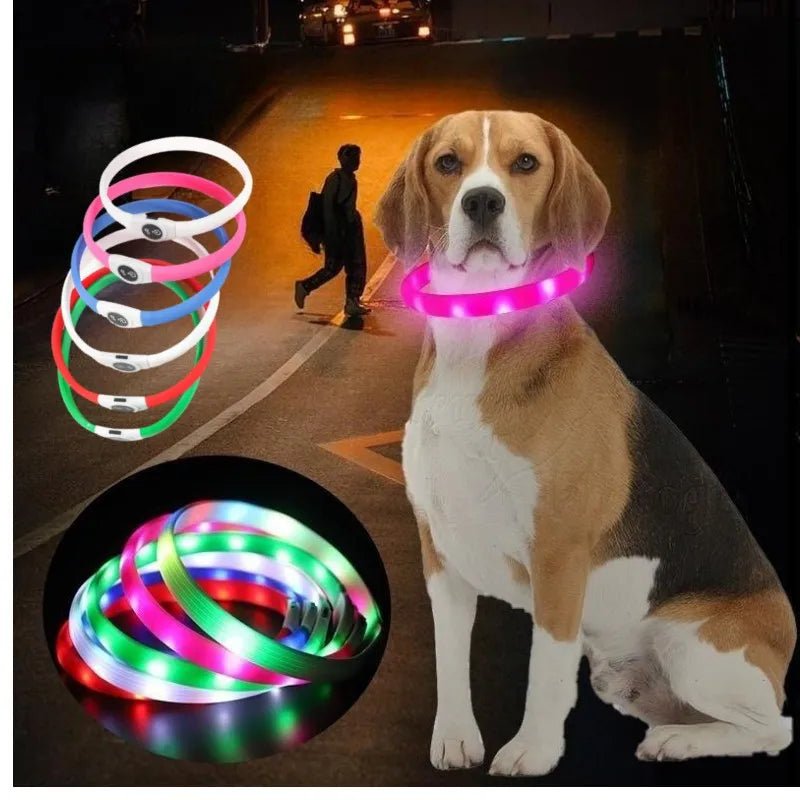 New SafeBuddy® | LED Water - Resistant Collar - safeison.com