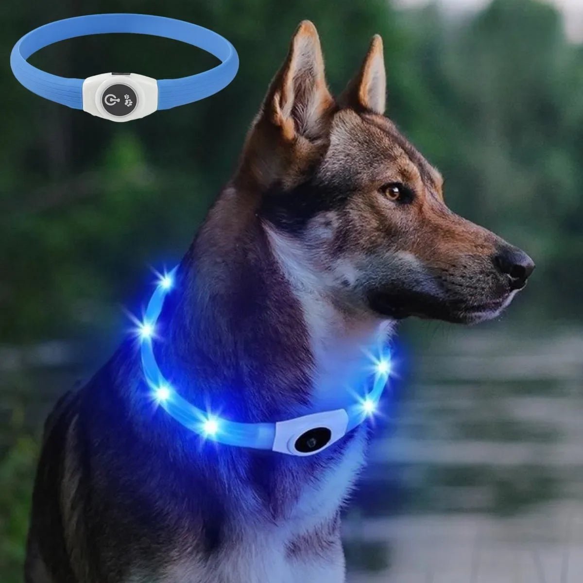 New SafeBuddy® | LED Water - Resistant Collar - safeison.com