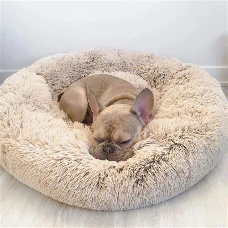 Comfort Cloud® | Round Pet Bed + Free Gift 🎁 - safeison.com