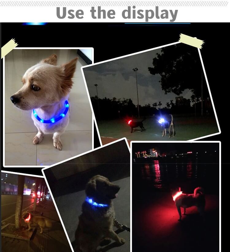 New SafeBuddy® | LED Water - Resistant Collar - safeison.com