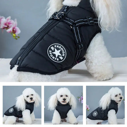 🚀Last Call: 50% Savings + Free Shipping🔥on FashionSports™ Paddle Jacket🐶