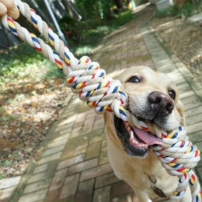 BigBite Guardian 🦷: 60CM Molar Tooth Rope Toy for Large Dogs 🐾