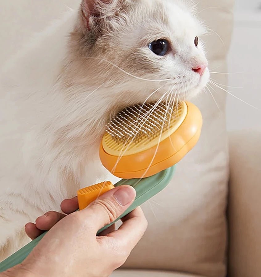 49% OFF 🚀 + Free Shipping on Pumpkin Cat Brush by FluffyCare™ - safeison.com