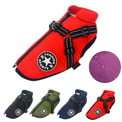 🚀Last Call: 50% Savings + Free Shipping🔥on FashionSports™ Paddle Jacket🐶