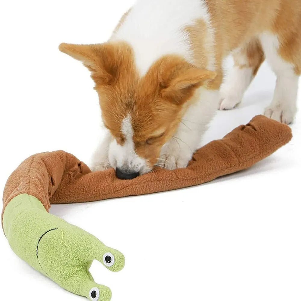 🔥Buy One, Get Two! Dog Squeak Toys - Playthings✅