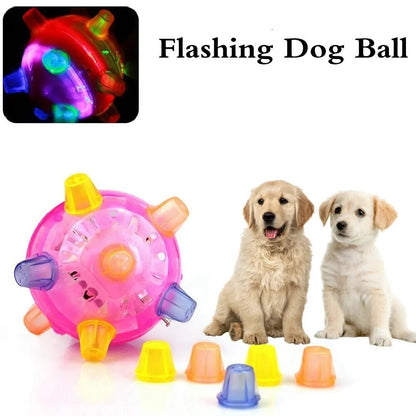 🔥 Hot Sale 49% off🔥Jumping Activation Ball For Dogs and Cats | DogBalls✅