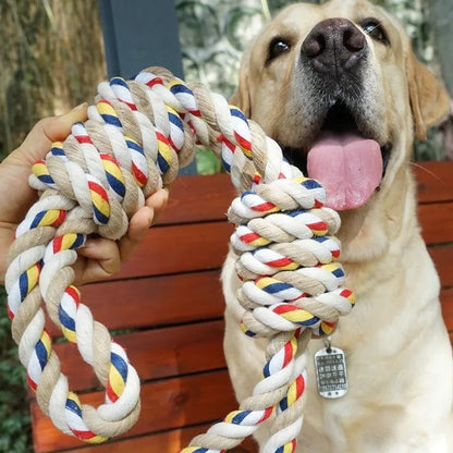 BigBite Guardian 🦷: 60CM Molar Tooth Rope Toy for Large Dogs 🐾