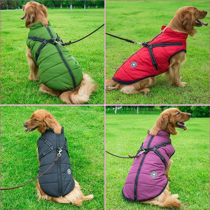 🚀Last Call: 50% Savings + Free Shipping🔥on FashionSports™ Paddle Jacket🐶