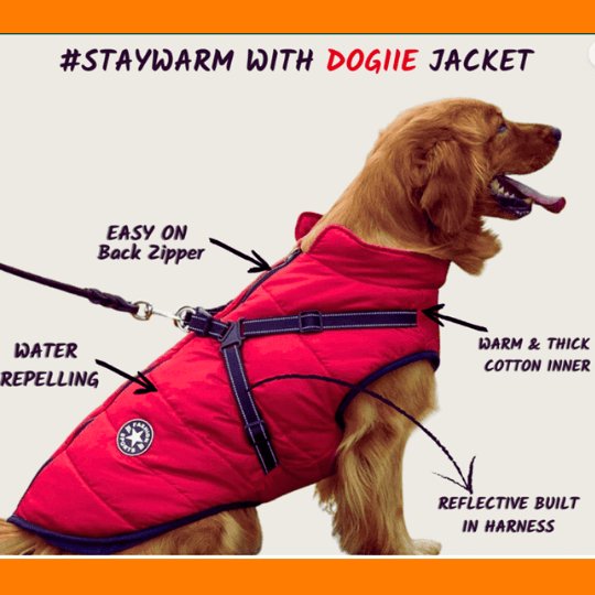 🚀Last Call: 50% Savings + Free Shipping🔥on FashionSports™ Paddle Jacket🐶 - safeison.com